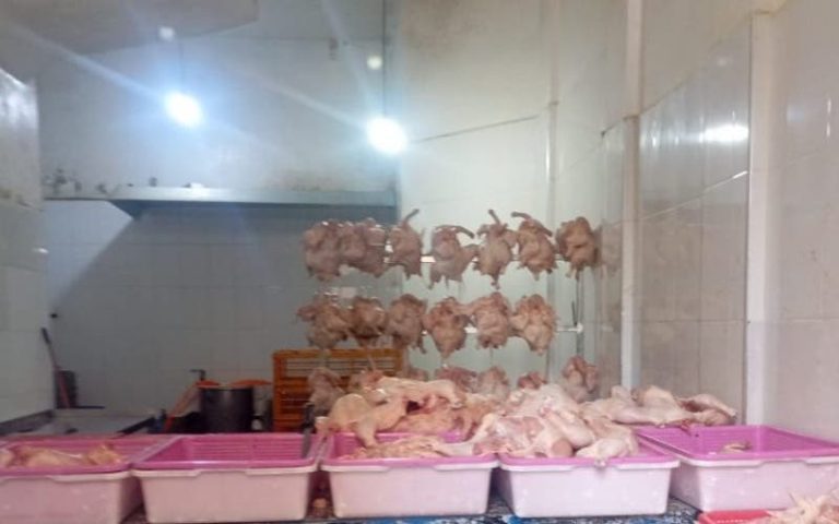 Fez: Secret slaughterhouse seized and large quantities of rotten chickens seized