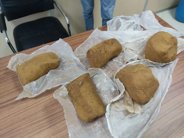 Fez.. The gendarmerie foils an attempt to smuggle a quantity of drugs