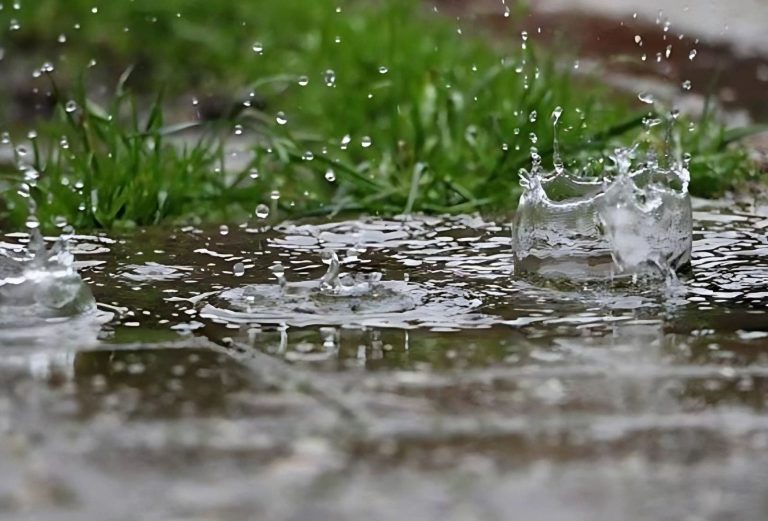Good news for farmers… rainy weather forecast in Morocco this week