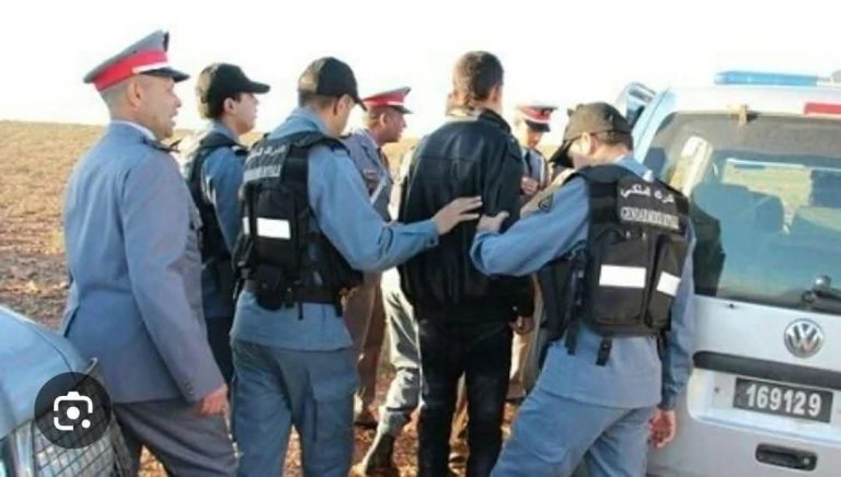 Khemisset: Dismantling of a criminal gang specializing in livestock and car theft