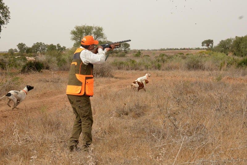 Khénifra.. Indiscriminate hunting threatens endangered birds, and “Eaux et Forêts” encourages vigilance
