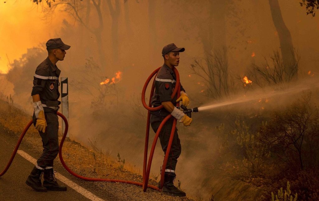 Morocco’s strategy for fighting forest fires… Challenges and perspectives