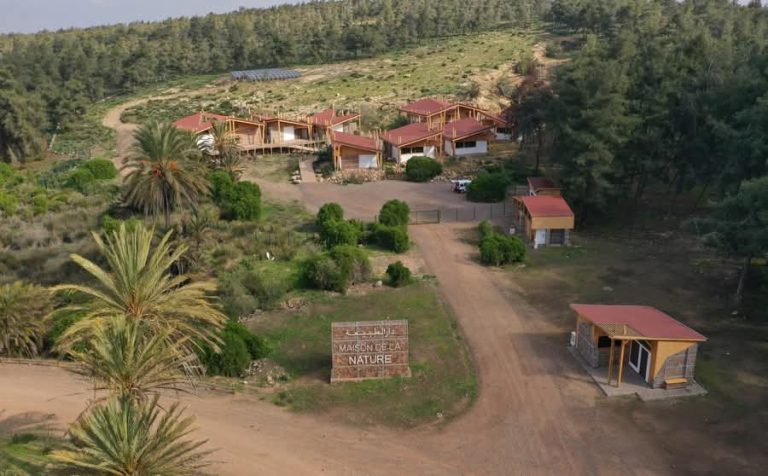 Notable developments in the vast Bouskoura forest rehabilitation project in Casablanca