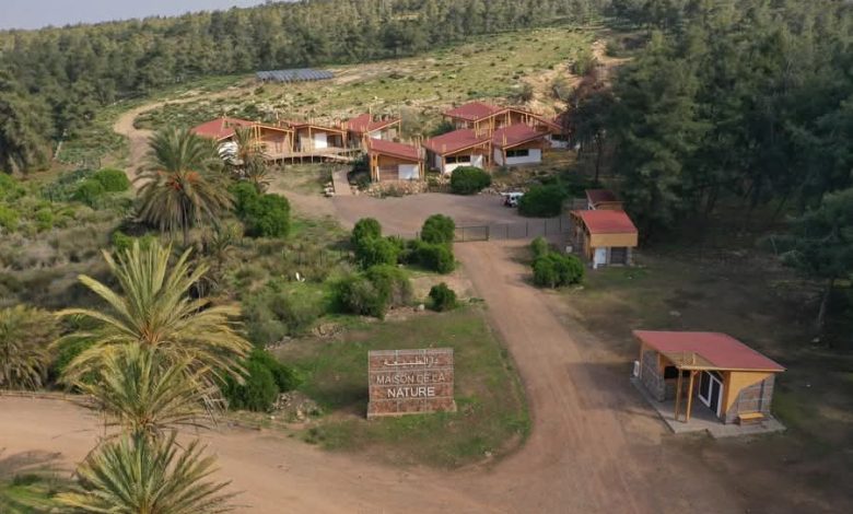 Notable developments in the vast Bouskoura forest rehabilitation project in Casablanca