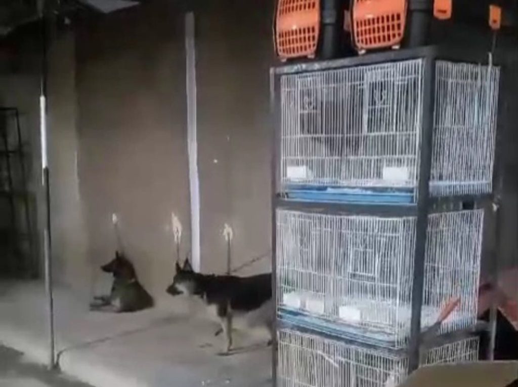 Oujda..An animal market brings local residents to protest