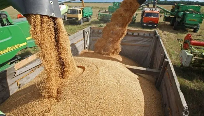 La Russie vise à exporter 1,5 million de tonnes de blé vers le Maroc par an