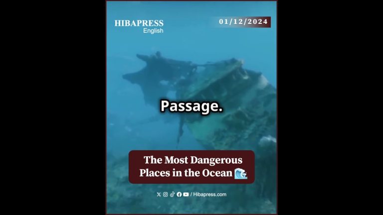 The Most Dangerous Places in the Ocean