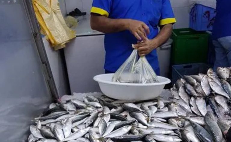 The continued rise in sardine prices on the markets weighs on Moroccans