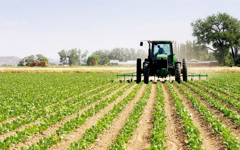 The government approves a project concerning the minimum wage in agricultural activities