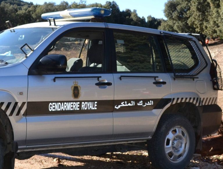 The skull of an unidentified child alerts the regional police of Fez
