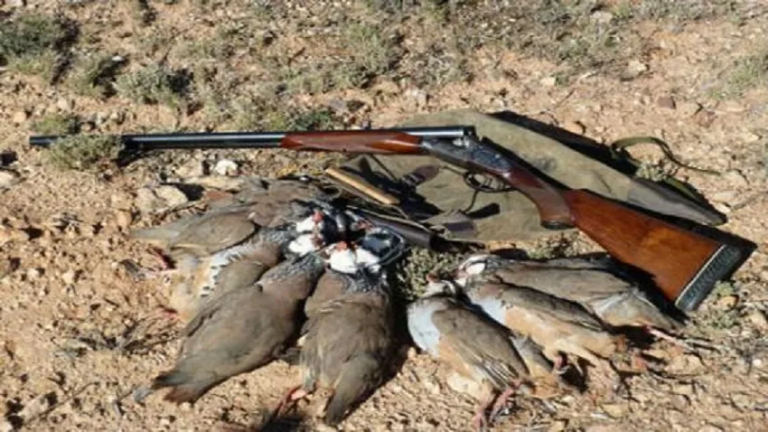 Two people arrested for random sniping in Al Haouz province