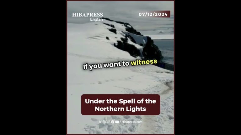 Under the Spell of the Northern Lights