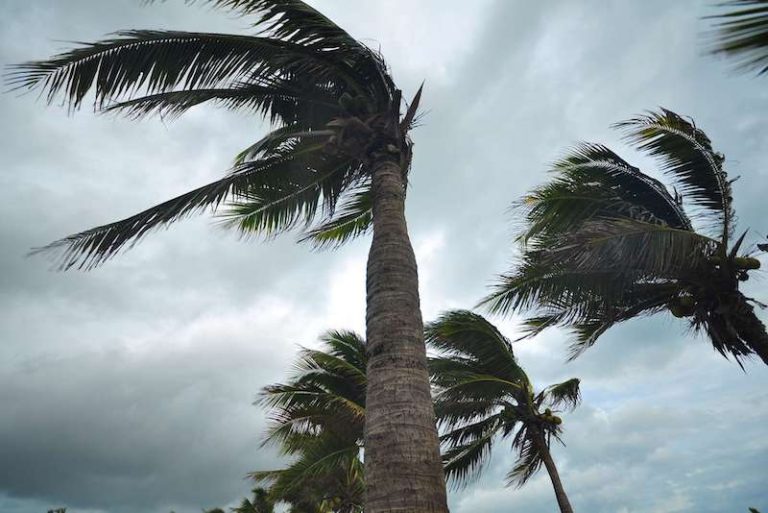 Warning Bulletin: Strong winds expected in these areas on Monday