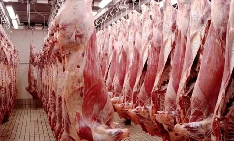 A parliamentarian is surprised to deprive citizens of their right to consume meat