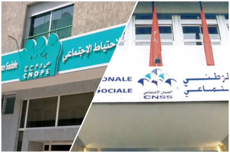 A parliamentarian lists the inclusion of "CNSS" and "CNOPS"