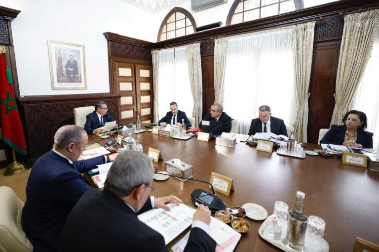 Akhenoush chairs the meeting of the Moroccan Blood Agency and its derivatives