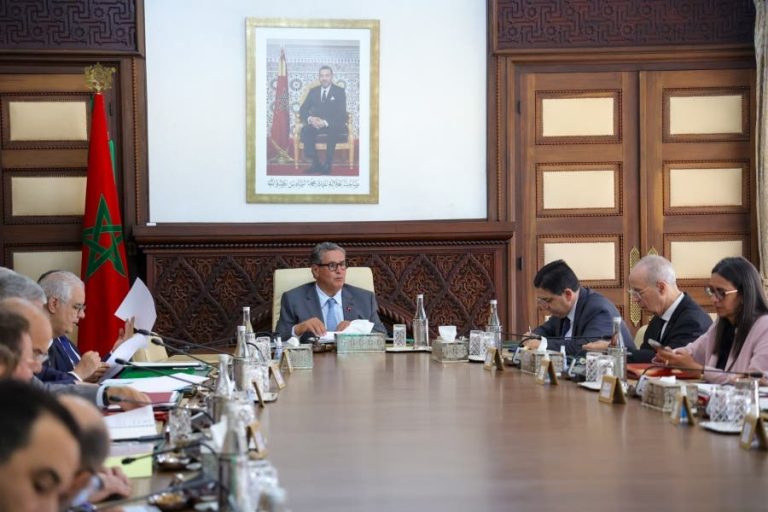Akhenoush highlights the vital role in the pharmaceutical and health sector sector
