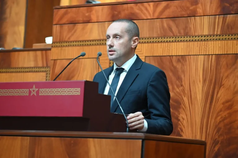 Al-Tahrawi calls for activating law banning smoking in public places