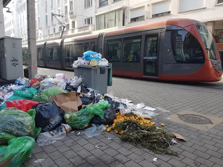 Casablanca prepares to launch the “Cleanliness Police” project