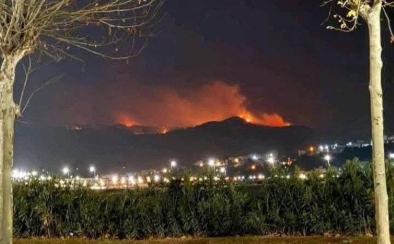 Despite the cold… mystery surrounds the causes of the Tetouan forest fire