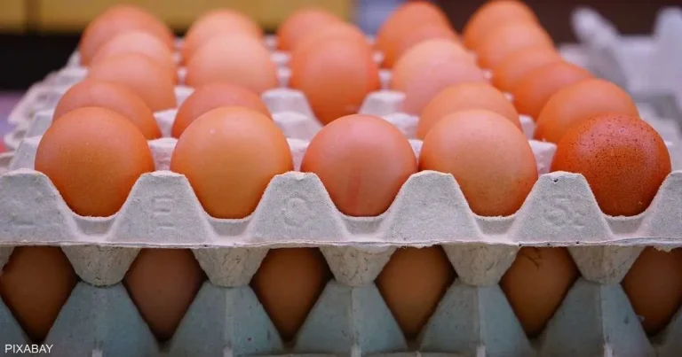 Egg prices soar on the markets in the face of strong demand