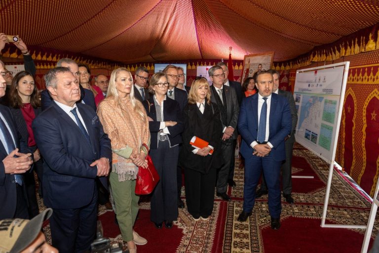 Hamman receives an important delegation from the European Union