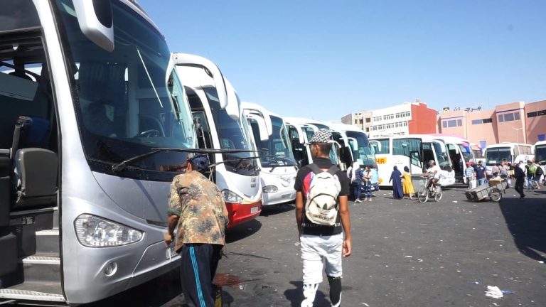 In number .. shalla kayen of "car" for public transport on the roads of Morocco?