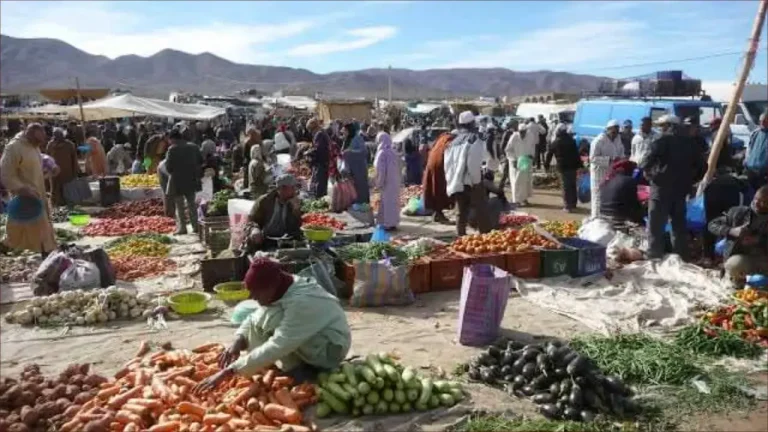 Taounate.. Opening of a weekly market to boost the local economy