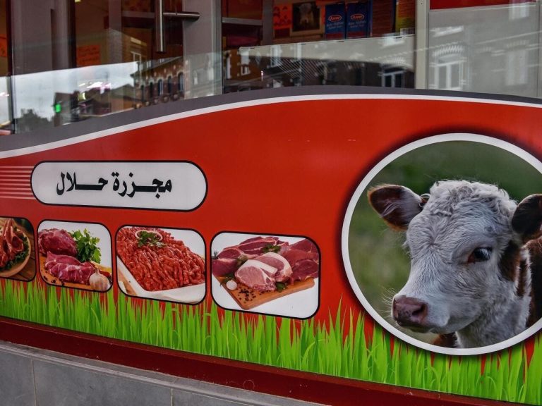 The Moroccan community in Spain between what is allowed and what is prohibited