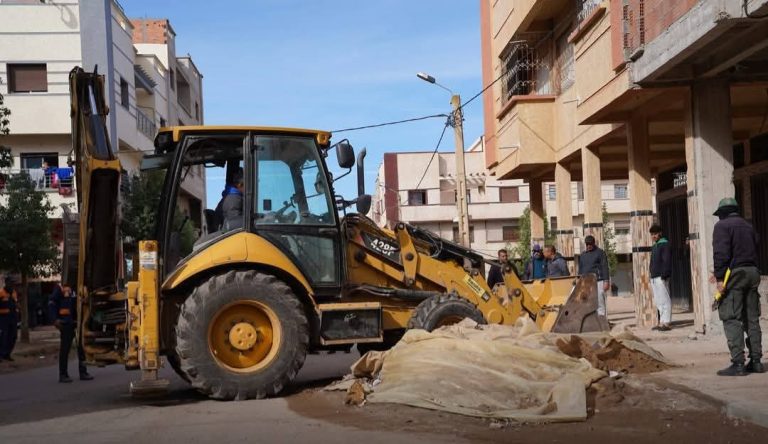 The Sattati citizen and his right to the sidewalk... Did you understand the message?