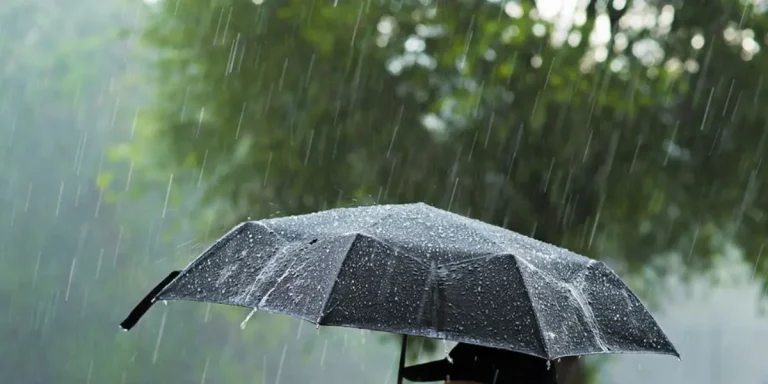 The weather tomorrow Monday: rain, snow and strong wind in different areas