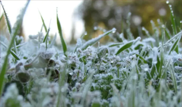 The weather tomorrow Saturday…cold weather with rain in the Atlas highlands