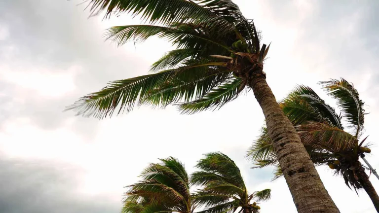 Warning notice: strong wind gusts today, Monday and Tuesday
