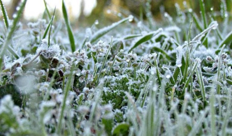 Weather conditions tomorrow: cold, accompanied by frost and icy conditions