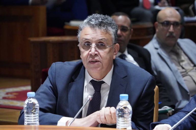 Wehbe: “The judicial commissioners turned on the cameras during the report to protect themselves. »
