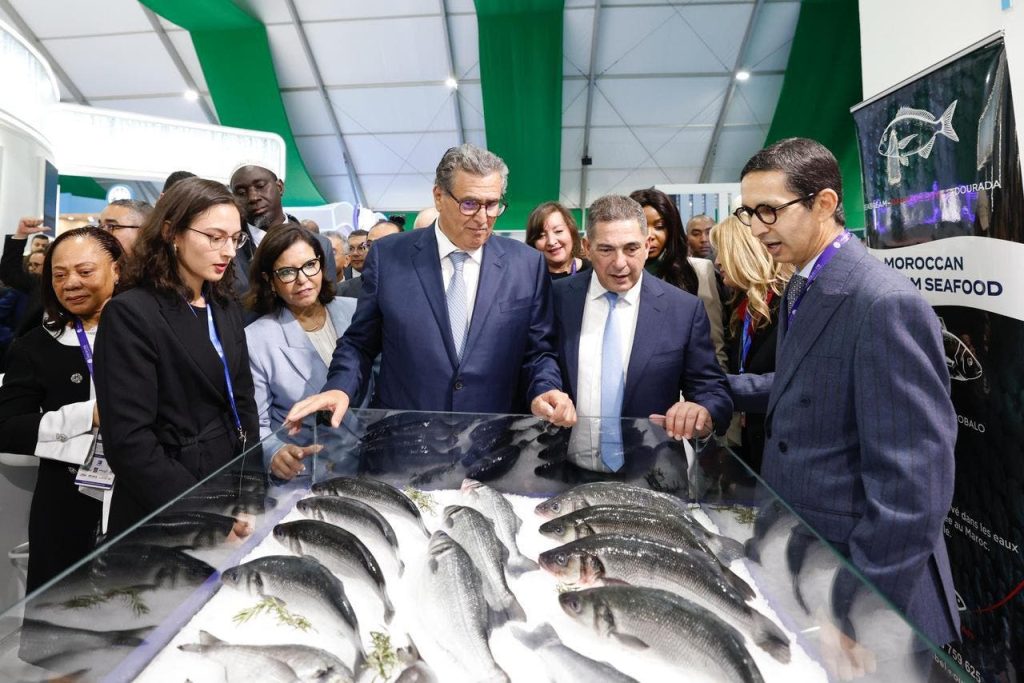 Akhenoush gives the start of the international exhibition "Aleteis" in Agadir (photos)