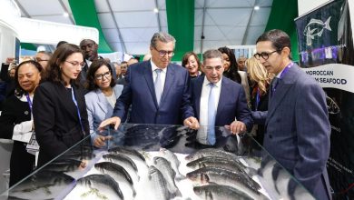 Akhenoush gives the start of the international exhibition "Aleteis" in Agadir (photos)