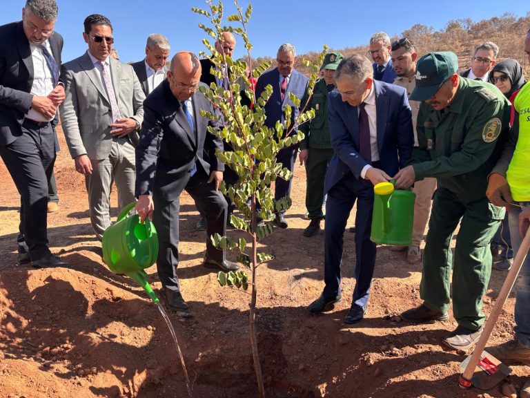 Oujda .. The launch of the Sidi Forest Rehabilitation Project (Tire)