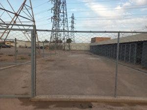 Oujda .. an association requires that the governor of the entity applies sterilization and insemination instead of killing stray dogs
