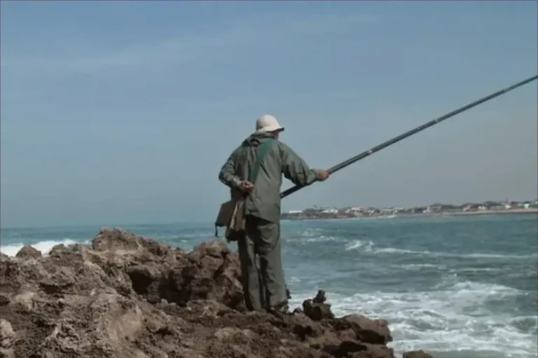 450 fishermen open the hunting season for troties at Umm al -Rabi`