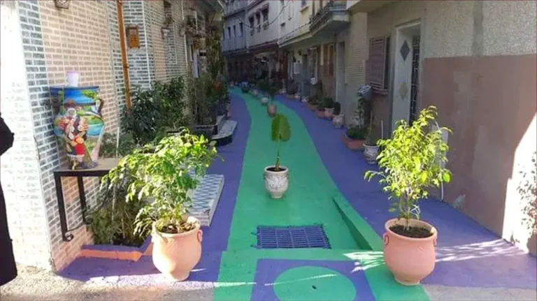 A huge project. Watch 10 million dirhams to embellish the streets of Tangier