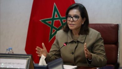 Al -Dariush: "fish at a reasonable price" will provide more than 4 thousand tonnes in 1000 points of sale