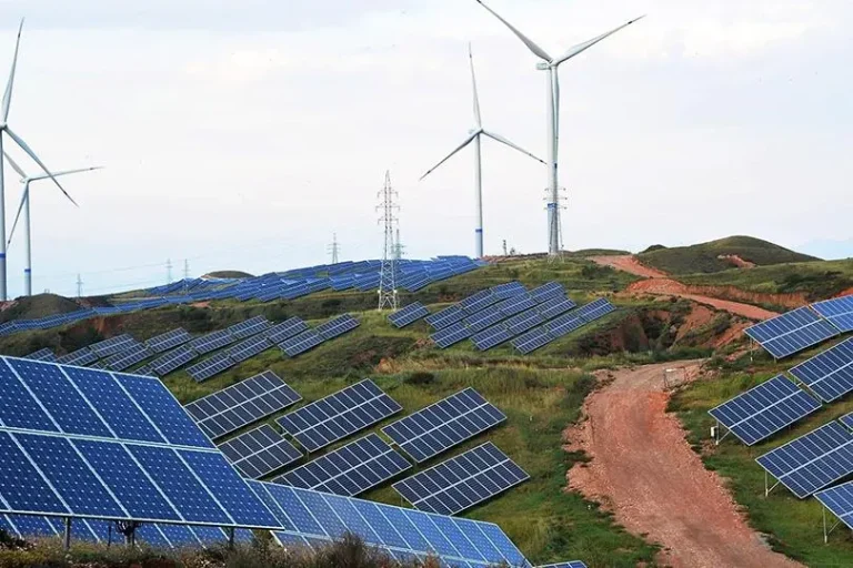 Expert: Morocco is a major player in the fight against climate change
