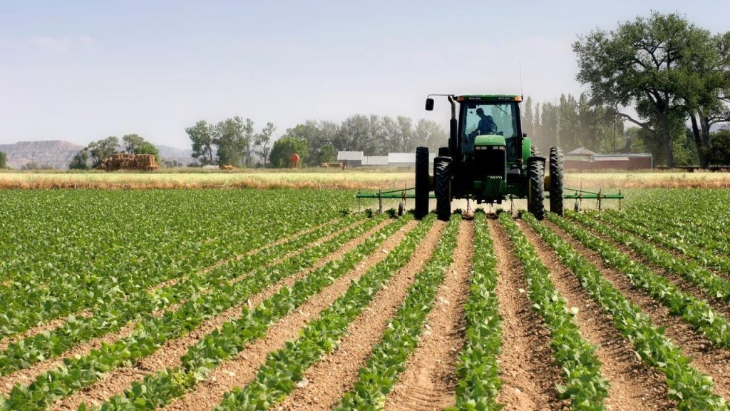 February rains relaunch the hopes of farmers to save the agricultural season