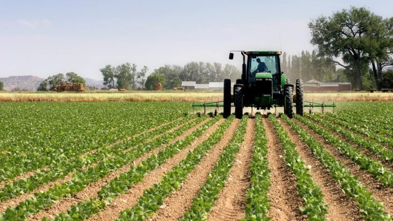 February rains relaunch the hopes of farmers to save the agricultural season