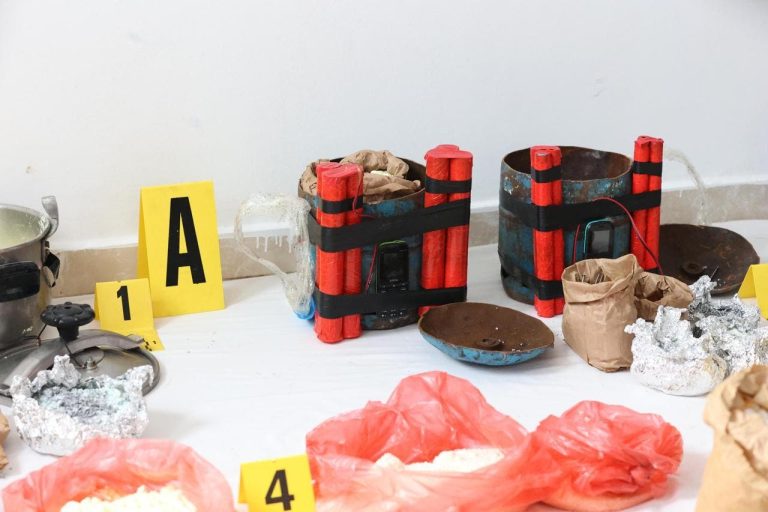 I explosive body and remote detonation devices. These are the reservations of terrorist cells