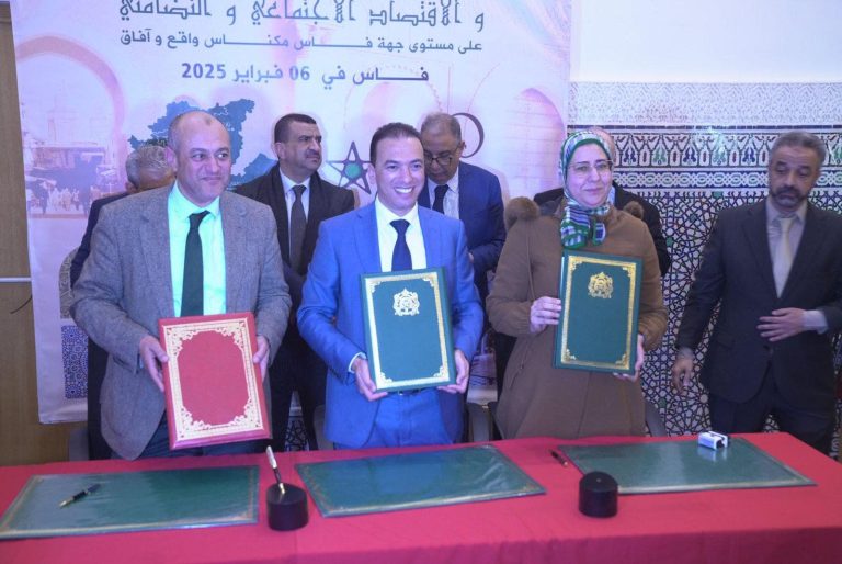 "Lahcen al -saadi" inspects the progress of the value projects of traditional industry during his visit to Fez