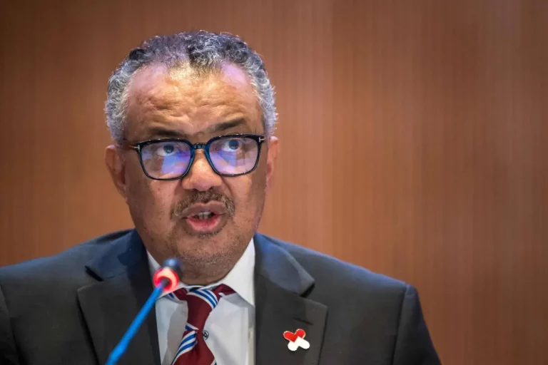 Marrakech. Director of the World Health Organization underlines the role of young people in road safety