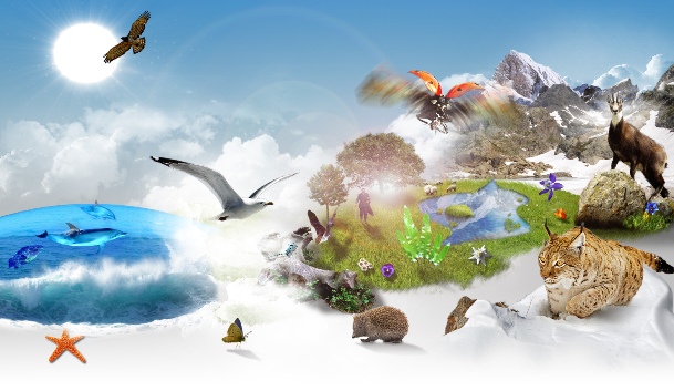 Mehdia labellisée "Ville des Zones Humides" par la Convention Ramsar