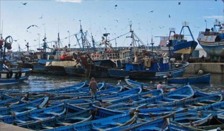 State writing in marine fishing announces the list of fishing boats for next year
